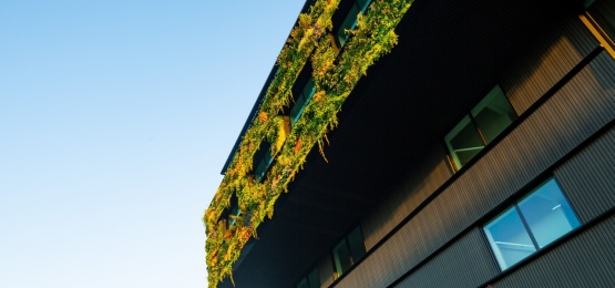 Thumbnail van Aeres hogeschool, Almere