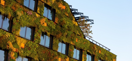 Thumbnail van Aeres hogeschool, Almere