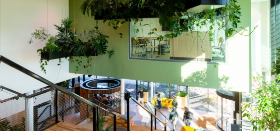 Thumbnail van Aeres hogeschool, Almere