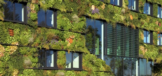 Thumbnail van Aeres hogeschool, Almere