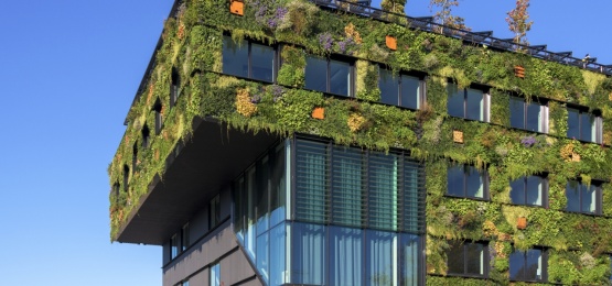 Thumbnail van Aeres hogeschool, Almere