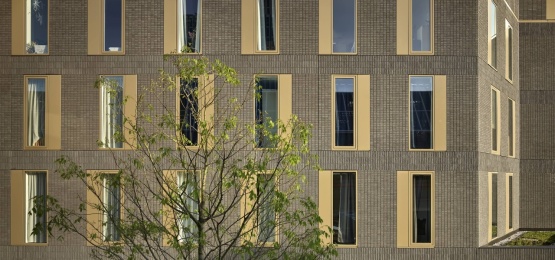 Thumbnail van Metropool Almere